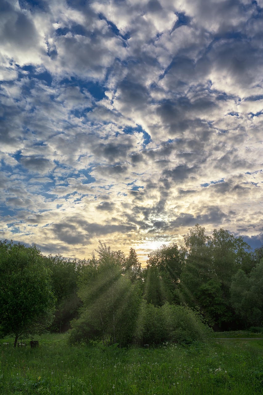poboruev_landscape in LOOKY