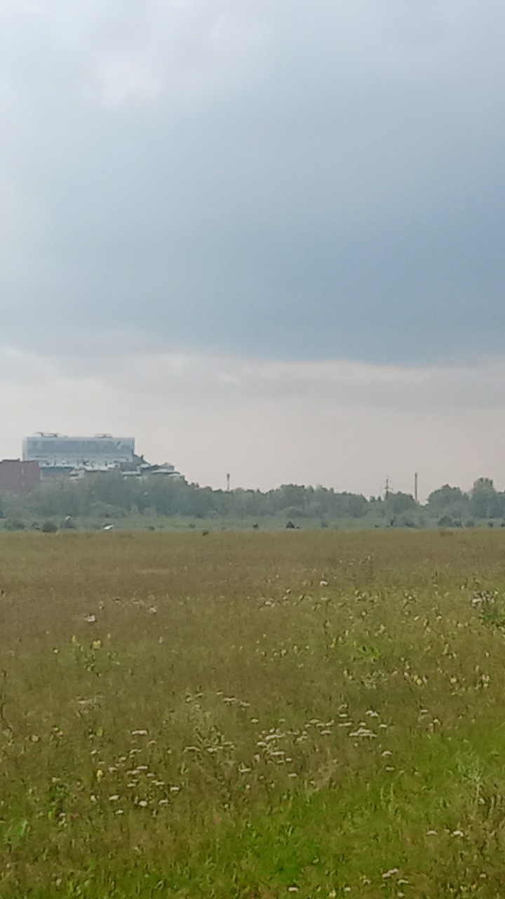 Юлия Никитина