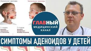 Леся в LOOKY — ❔ вопрос, что делать у ребенка аденоиды

Ответ
Добрый день! 