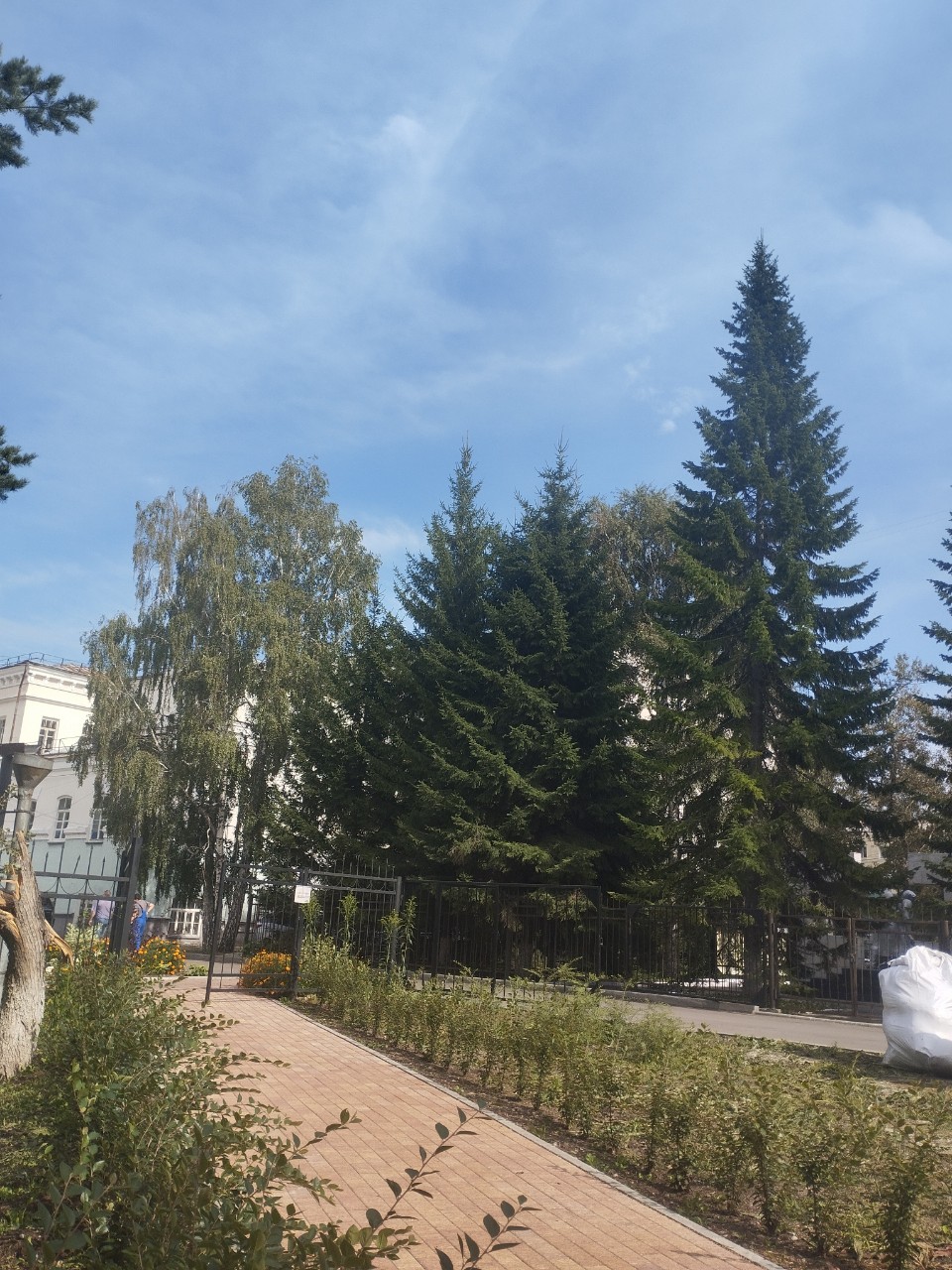 Настя