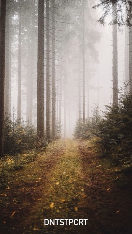 matveykin_07 в LOOKY. #деньтуризма. Autumn 

#деньтуризм...