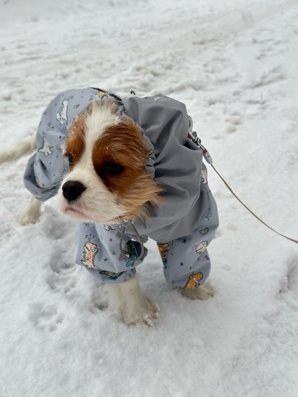 Светлана в LOOKY. . 