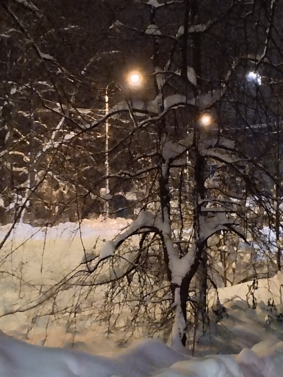 olga.ivanova77 в LOOKY. #январь,#вечер,#пейзаж_ои. Чудесного вечера, др...