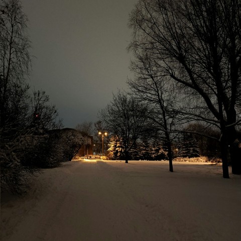 Vermitrall в LOOKY. #vermitrall,#followme,#son,#kolpino,#winter,#snow,#evening. Зимний вечер
.
.
#ve...