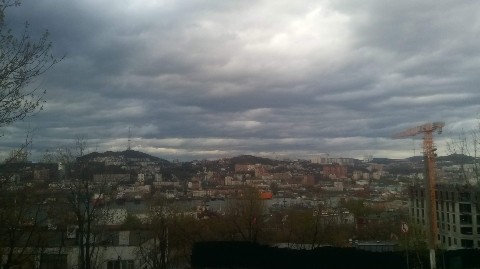липтон лис in LOOKY. . 