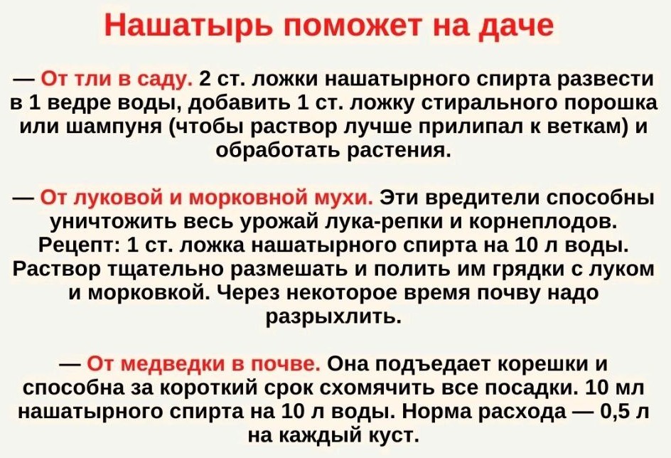 Татьяна Gala Анатольевна в LOOKY — фото 1