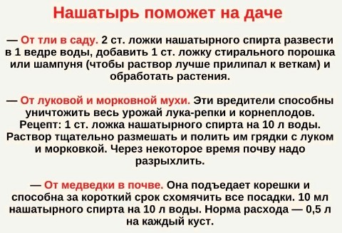 Татьяна Gala Анатольевна в LOOKY. #нашатырьнадаче. НАШАТЫРЬ НА ДАЧЕ 👩‍...