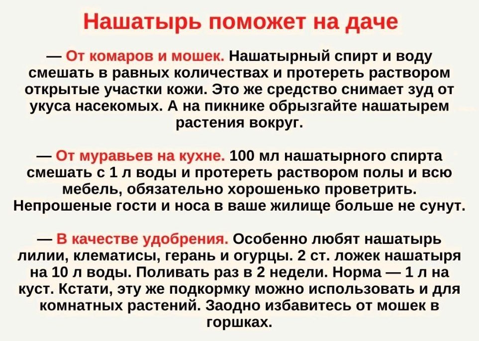 Татьяна Gala Анатольевна в LOOKY — фото 2