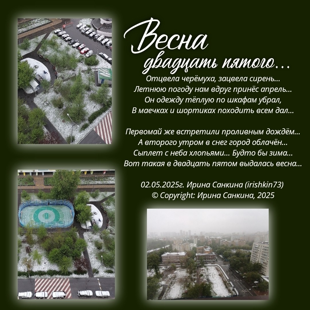 ВЕСНА ДВАДЦАТЬ ПЯТОГО ...
Ирина Санкина
(видео в карусельке) 

Отцвела черёмуха, зацвела сирень...
Летнюю погоду нам вдруг принёс апрель...
Он одежду тёплую по шкафам убрал,
В маечках и шортиках походить всем дал...

Первомай же встретили проливным дождём...
А второго утром в снег город облачён...
Сыплет с неба хлопьями... Будто бы зима...
Вот такая в двадцать пятом выдалась весна...

02.05.2025г. Ирина Санкина (irishkin73)
08:09

© Copyright: Ирина Санкина, 2025
Свидетельство о публикации №125050202204

🟢------------------------🟢
Мой телеграм - канал 
 https://t.me/stihiirishkin
🟢------------------------🟢

#irishkin73 #стихи #автор #поэт #авторскиестихи #стихи@stihiirishkin #поэт@stihiirishkin #ВеснаДвадцатьПятого