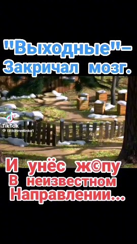 salavatatangulov в LOOKY. . 