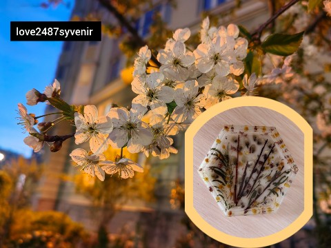 Уникальные товары с душой в LOOKY. #природа,#природапрекрасна,#мир,#цветымосква,#цветы,#цветыдома,#world,#веснедорогу,#летоблизко. По мотивам природы
И...