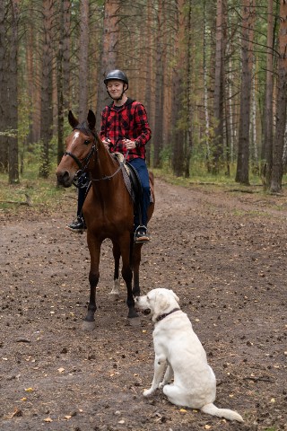 mokhnachev_72 в LOOKY. . 🏇🐶❤️
⠀
Ph • Ирина ...