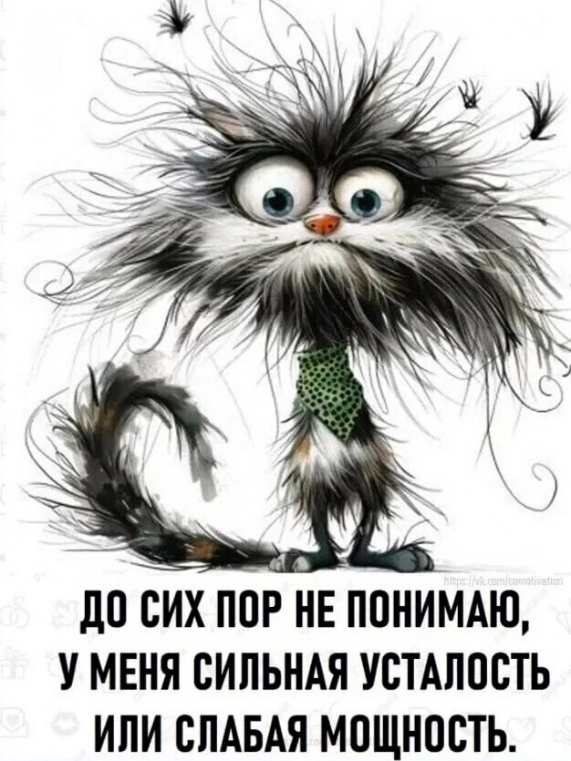Sunsun в LOOKY — публикация