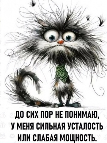 Sunsun в LOOKY. . 