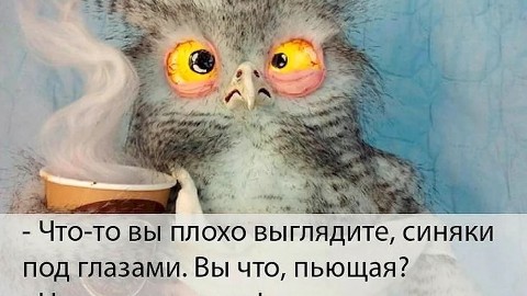 Looky_1711540637445 в LOOKY. . Уже две недели в пои...