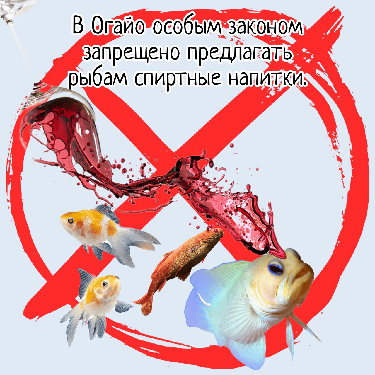 Не предлагайте рыбам вино, хоть в нем и истина.
#истина_в_вине [#рыбы](рыбы) [#факт](факт) 