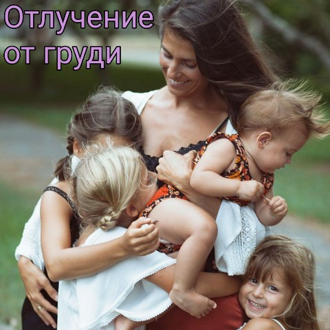 gomeopat_ulasevich в LOOKY. #детство,#материнство,#гв,#ев,#отлучение,#отлучениеотгруди,#уходзадетьми,#кормление,#здоровье,#педиатрия. Как завершить грудно...