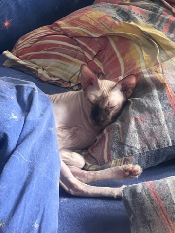 olik.gurina в LOOKY. . Доброе сонное утро💤