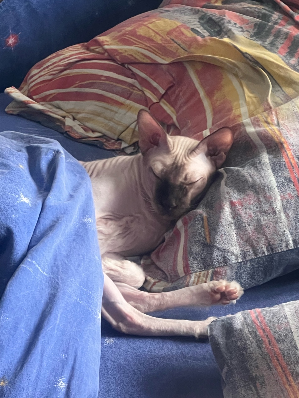 olik.gurina в LOOKY — Доброе сонное утро💤