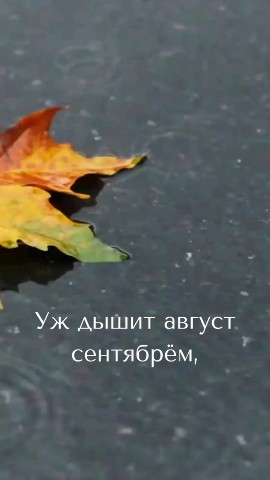 krasivoevide0 в LOOKY. . Уж дышит август сент...