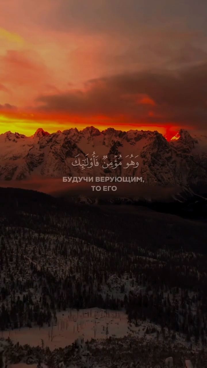 Looky_177233200737402 в LOOKY. #Иман,#рамадан,#рай,#Религия,#Умма,#ислам,#Вера,#хадис,#предопределение,#коран,#намаз_коран,#священный_коран,#исламскиймир,#мудрость,#хадис,#топ,#рек. #Иман #рамадан #рай ...
