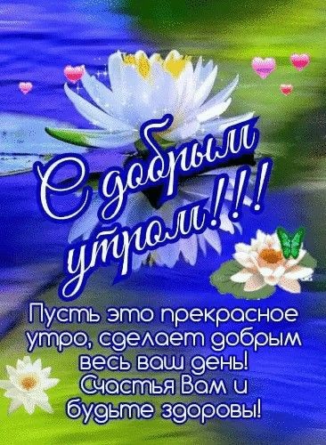 Киса в LOOKY — публикация