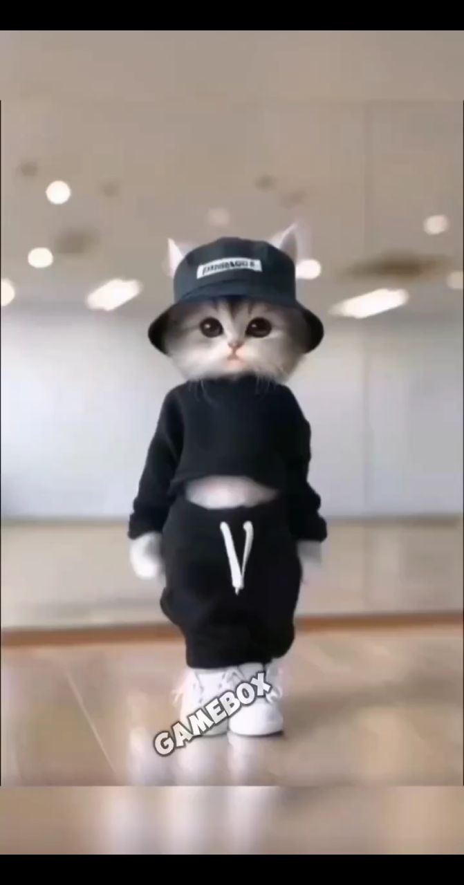 Татьяна в LOOKY. . https://t.me/ponomar...