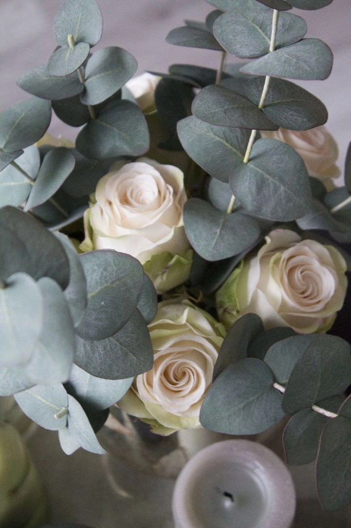 irinabogdanova_flowers в LOOKY — фото 8