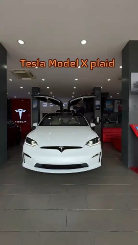 Tesla_Car_Optimurob в LOOKY. . Tesla Car