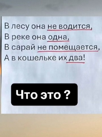 skazochnik в LOOKY. #осень,#эрудит,#вопросдня,#загадка,#викторина,#отдых. Добрый день.
Весёлая...