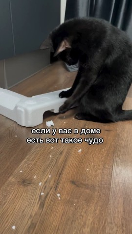 mifi в LOOKY. #быт,#уборка#УмныйДом#Легко,#Neatsvor. К счастью, есть наде...