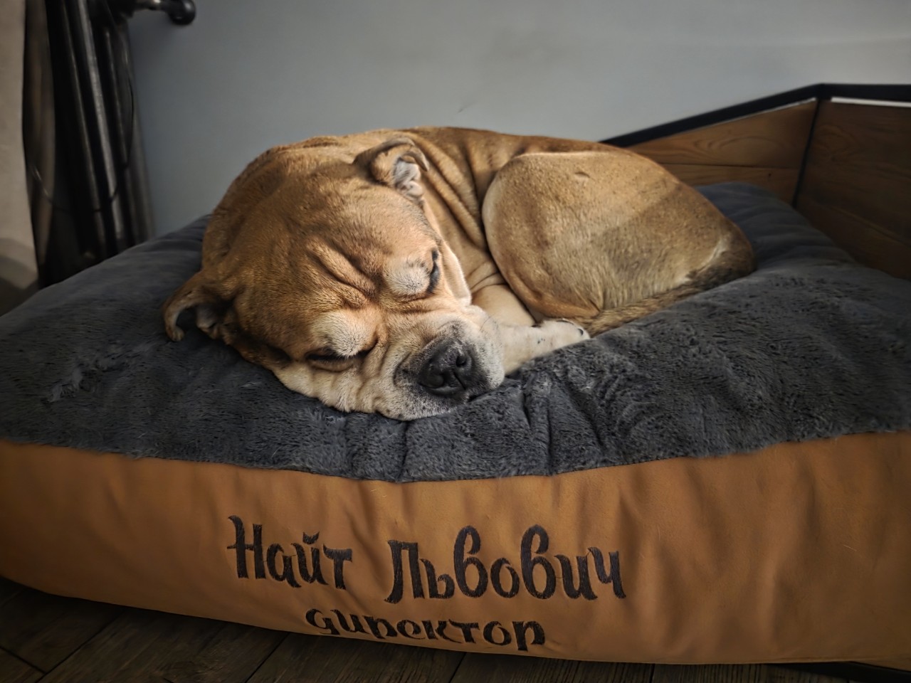 anbarinova в LOOKY. . Самая уютная на свет...