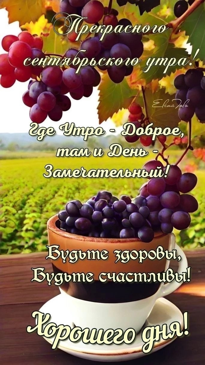  в LOOKY — публикация