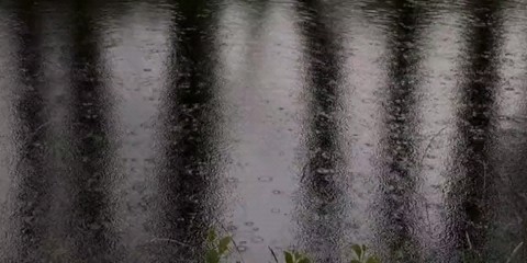 Looky_1700144278869 в LOOKY. . 