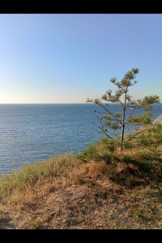 kristina_bah в LOOKY. . Морюшко 💙