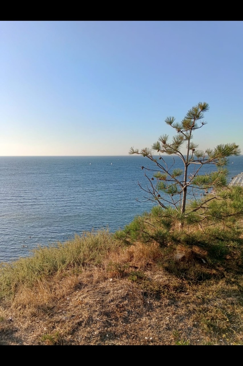 Морюшко 💙