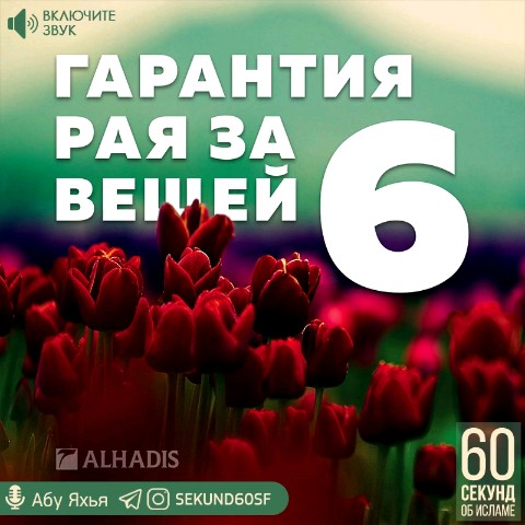 Looky_174060164168277 в LOOKY. #Ислам,#Сунна,#Хадис. Абу Яхья Крымский (Х...