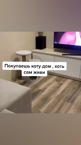 Looky_1690283321772 в LOOKY. #milo_i_smeshno,#LOOKY_топ,#мило_и_смешно,#милоиСмешно,#miloismeshno,#мило,#смешно,#смех,#Looky_you. #milo_i_smeshno
#LOO...
