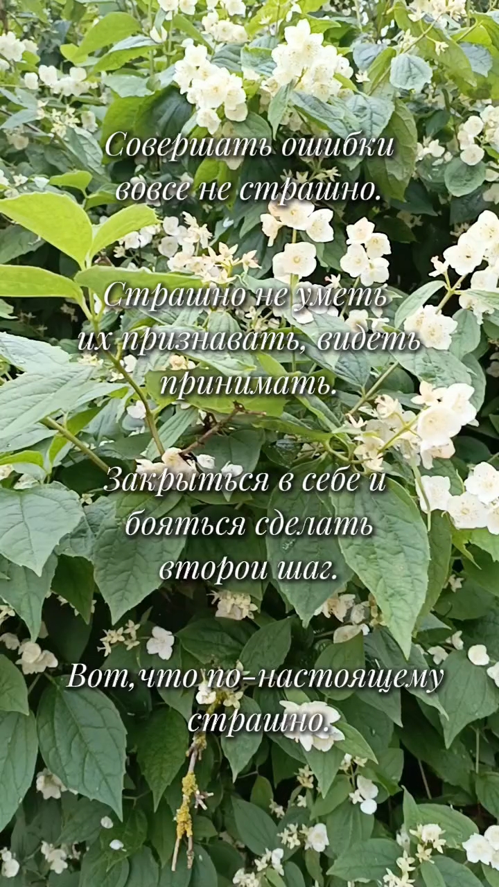 Ольга в LOOKY. . [#цитаты ](цитаты)[#...