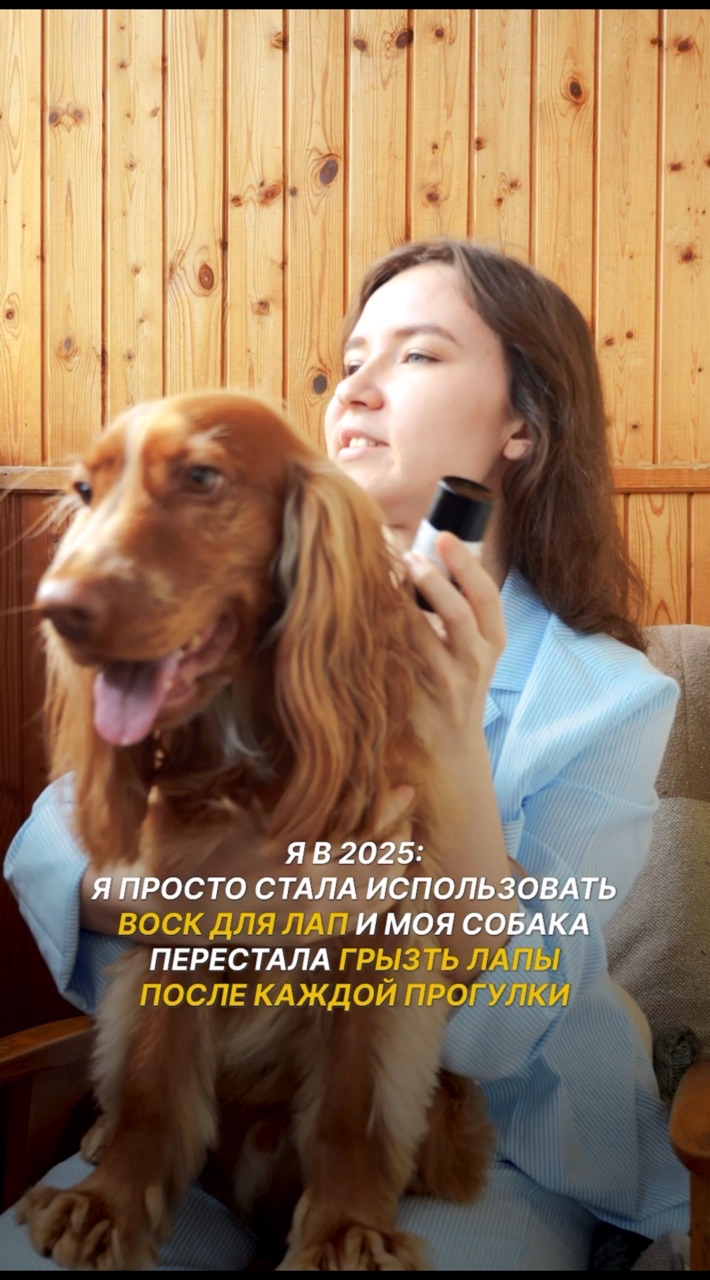 Оля и Йоки в LOOKY. #276247301,#собака,#спаниель. Воск защищает лапки ...