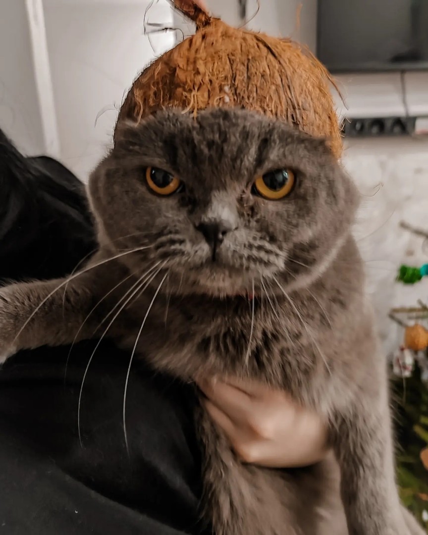 monamoredia в LOOKY — публикация