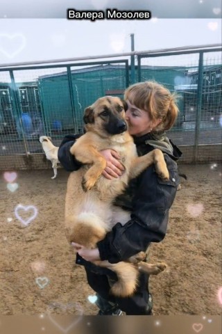 ValeMoz в LOOKY. . ДУША ВОЛОНТЁРА 
Песн...