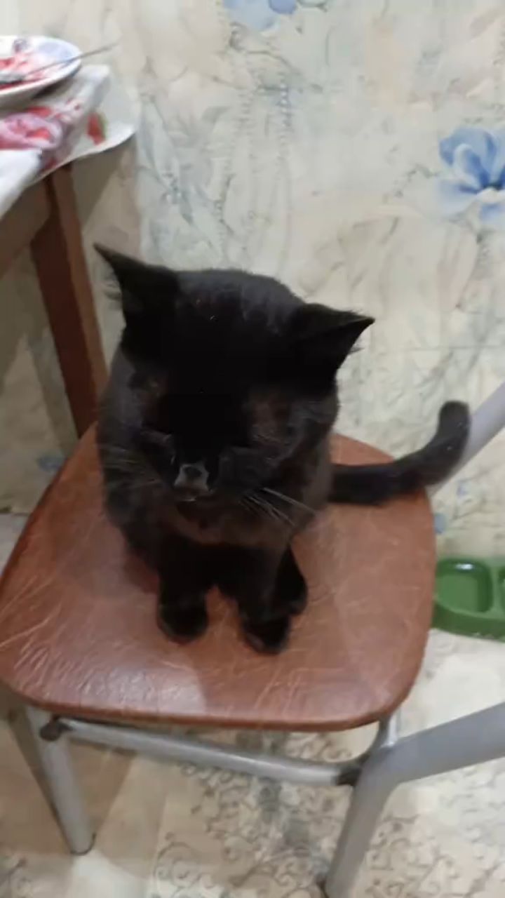  в LOOKY — публикация