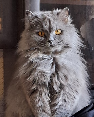 dimvortep в LOOKY. . Просто мой ахрененны...