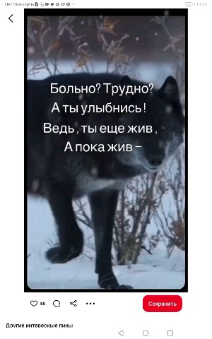 Волк в LOOKY — публикация