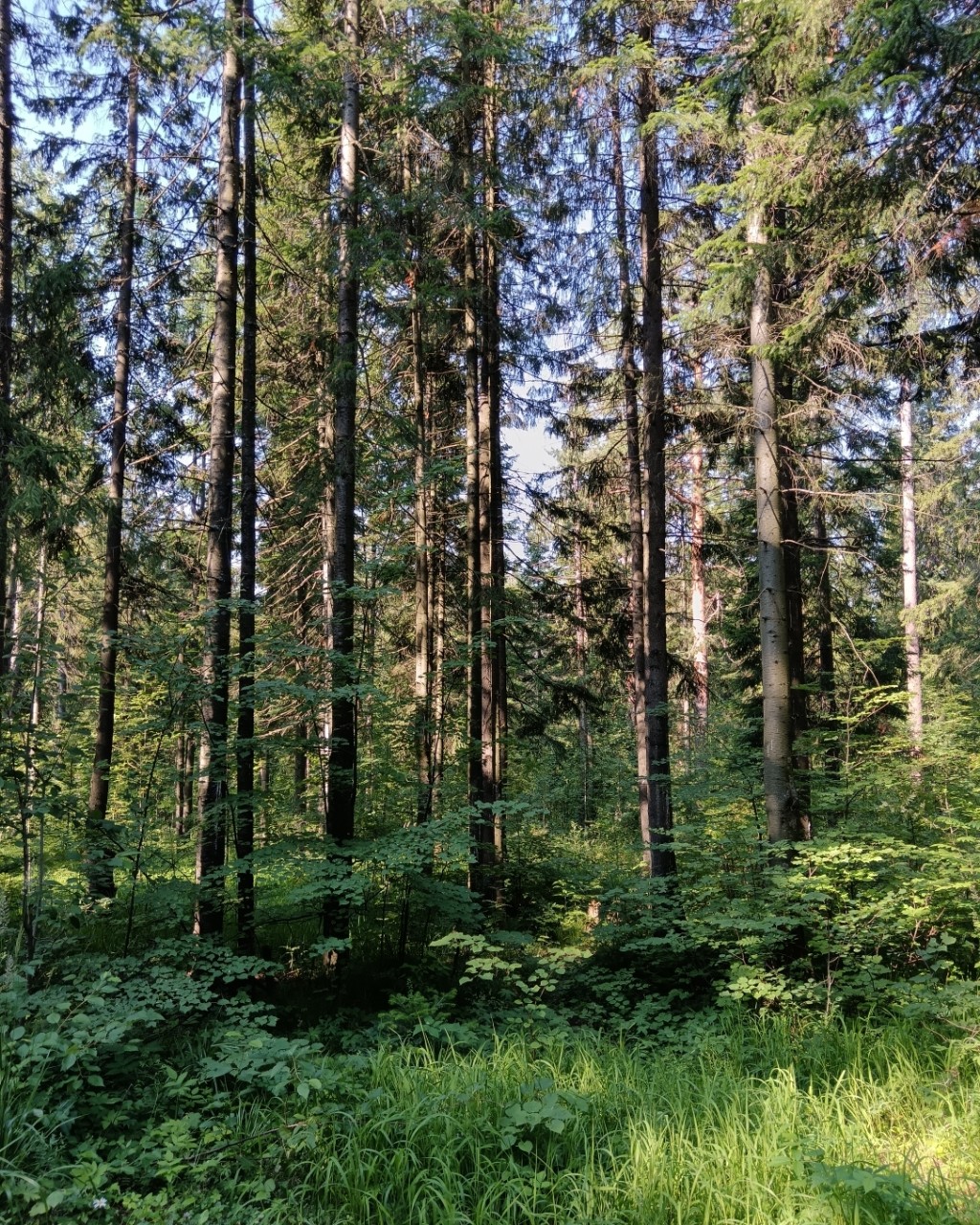 Красота природы 😍