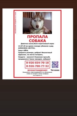 Пушистый сон в LOOKY. . Друзья, максимальный...