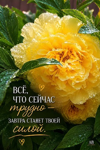 Looky_178541298759267 в LOOKY. . 