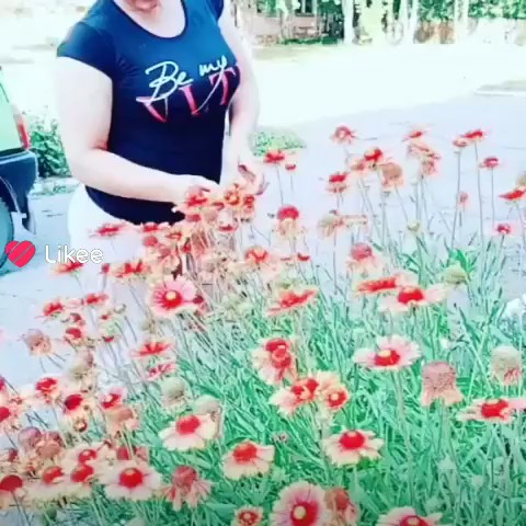 kondrateva770 в LOOKY. . 