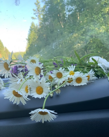 innagoncharova_ в LOOKY. . Летний выходной